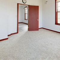 Carpet Flooring